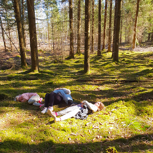 Coaching och skogsbad inom arbetsliv och privatliv